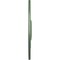Ekena Millwork Sunflower Ceiling Medallion (Canopies up to 5 5/8"), 29 1/2"OD x 3 5/8"ID x 1 5/8"P, Athenian Green CM29SFAGF - alternate 3